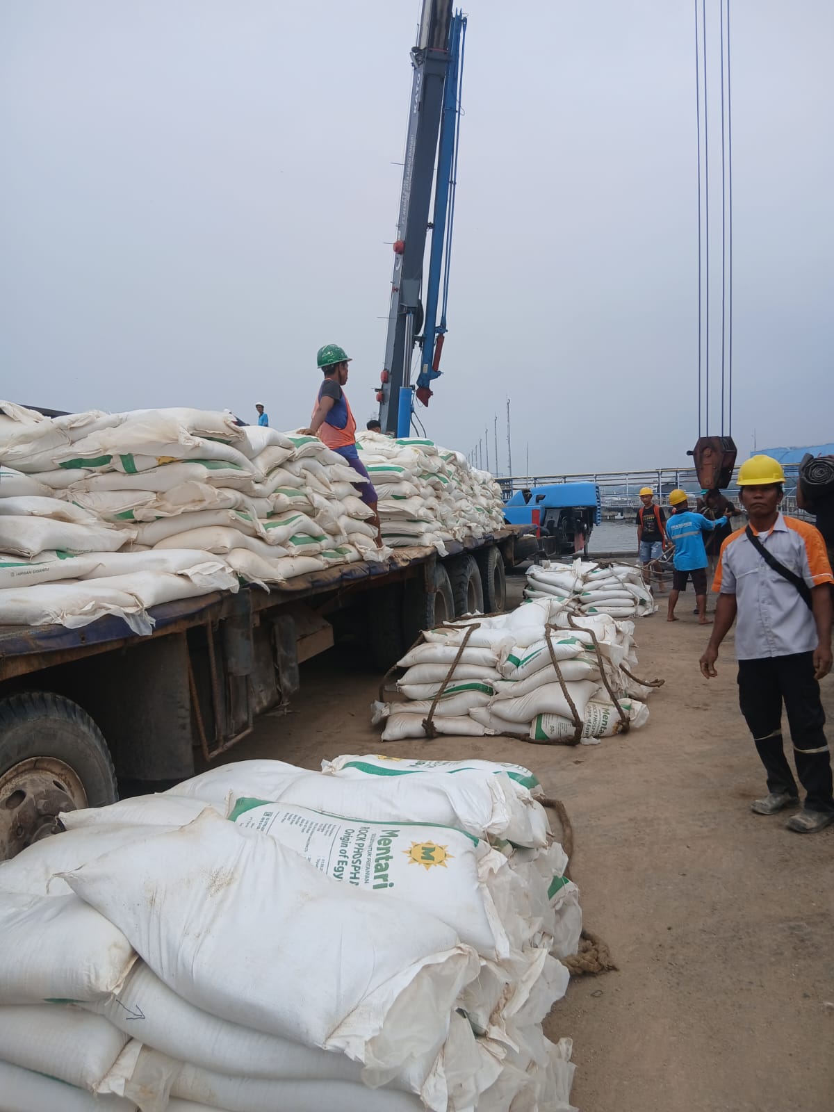 Dukung Kelancaran Aktivitas Bongkar Muat, Koperasi TKBM Pelabuhan Dumai Ikutkan Staf Operasi Sertifikasi Foreman